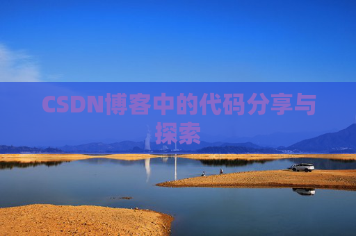 CSDN博客中的代码分享与探索